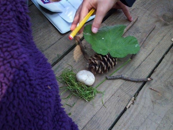 A short description about the picture goes here