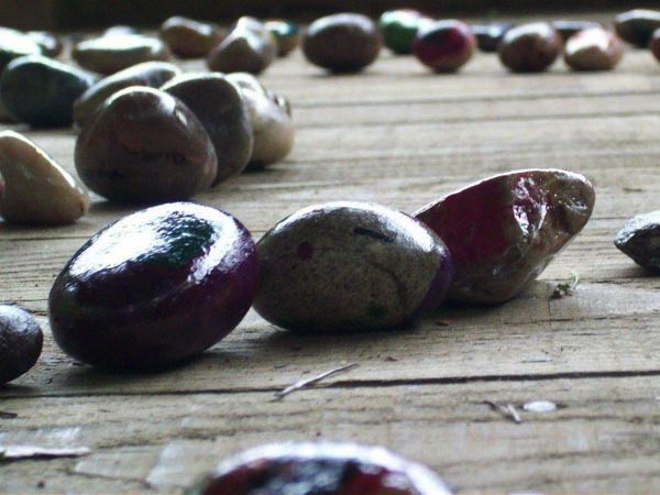 A short description about the picture goes here