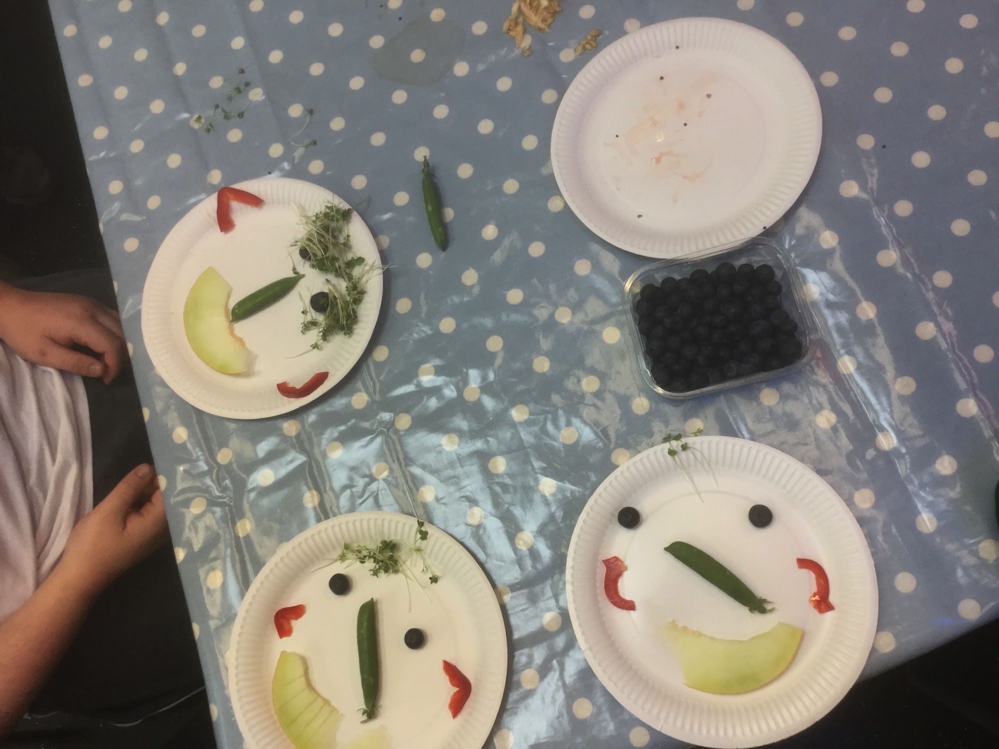 A short description about the picture goes here