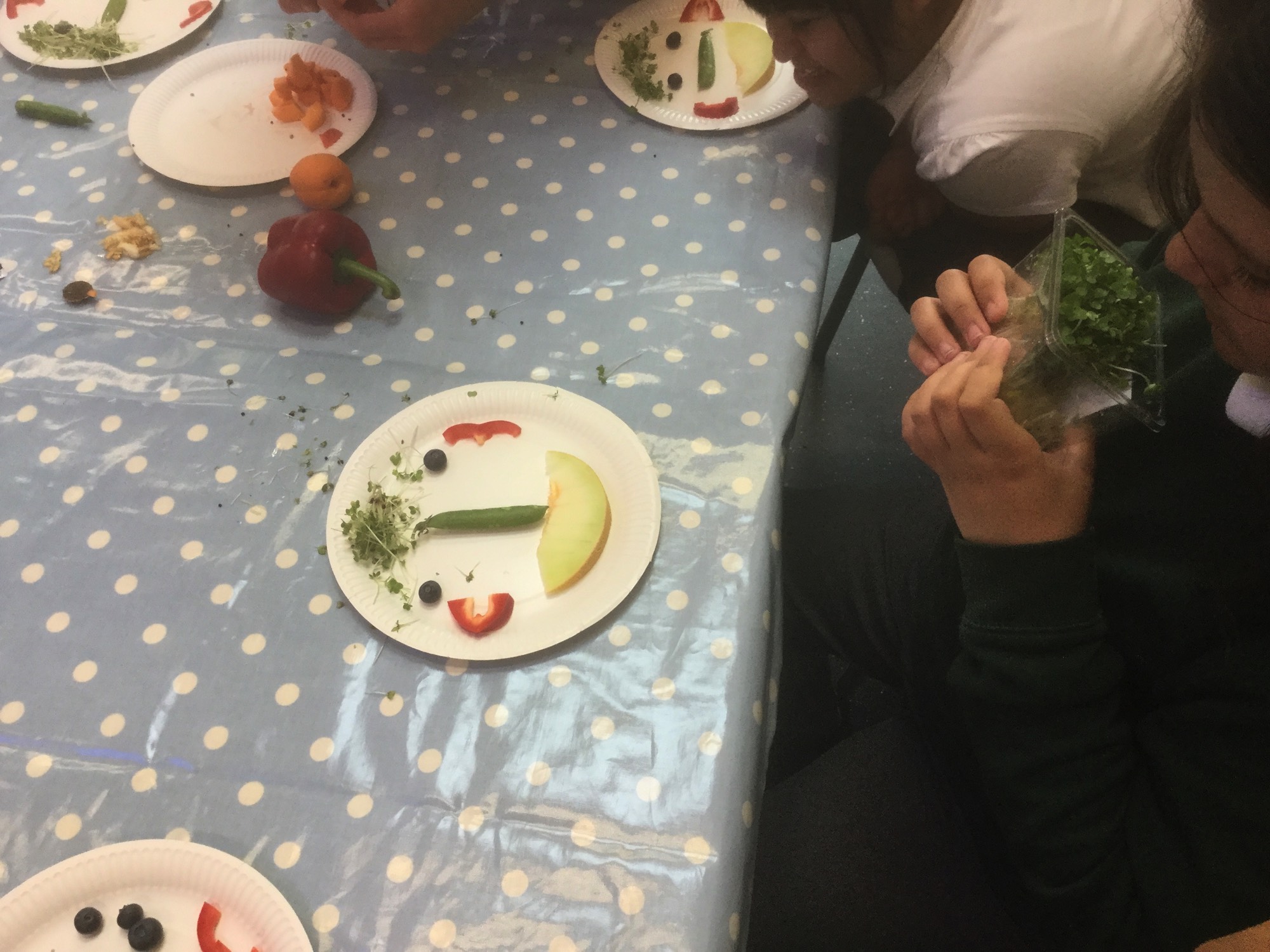 A short description about the picture goes here