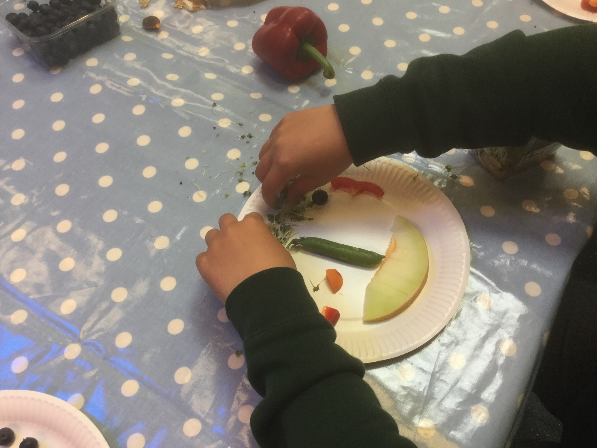 A short description about the picture goes here